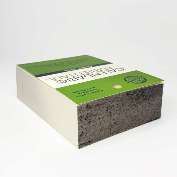 Blocchetto - immagine 5